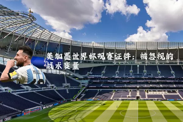 美加墨世界杯观赛证件：被忽视的战术变量